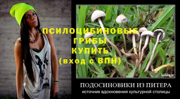 спиды Бородино