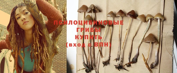 спиды Бородино