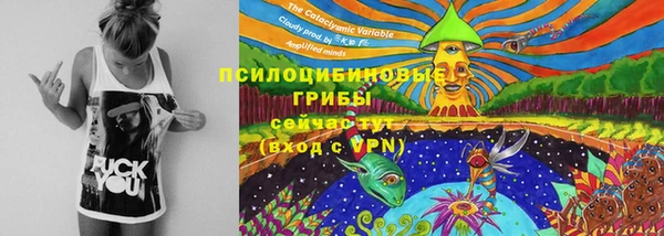 прущие крисы Бугульма
