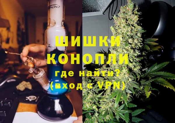спиды Бородино