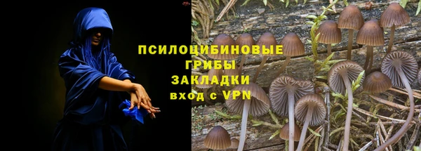 прущие крисы Бугульма