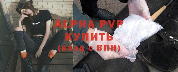 спиды Бородино