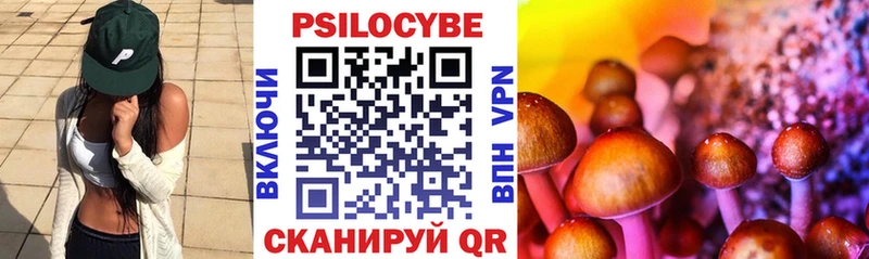 Псилоцибиновые грибы ЛСД  blacksprut ONION  Чита  магазин продажи наркотиков 